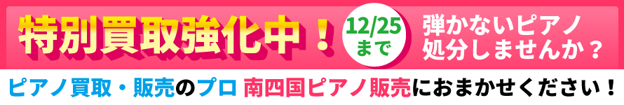 �V���� ���拭�����I�s�A�m����E�̔��̃v����l���s�A�m�̔��ɂ��܂������������B