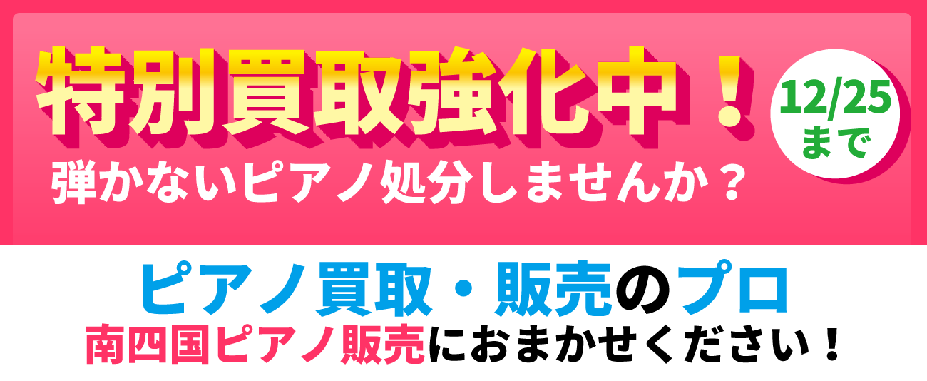 �V���� ���拭�����I�s�A�m����E�̔��̃v����l���s�A�m�̔��ɂ��܂������������B