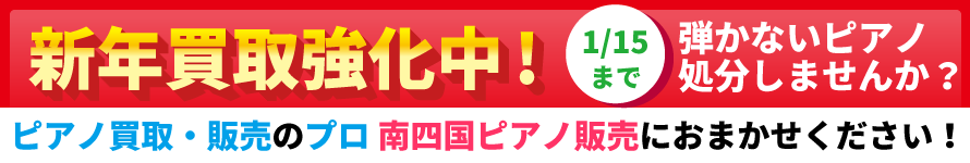 ���拭�����I�s�A�m����E�̔��̃v����l���s�A�m�̔��ɂ��܂������������B