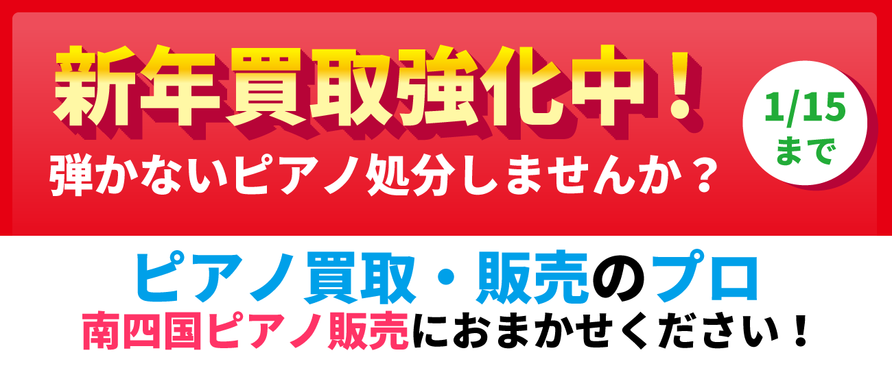 ���拭�����I�s�A�m����E�̔��̃v����l���s�A�m�̔��ɂ��܂������������B