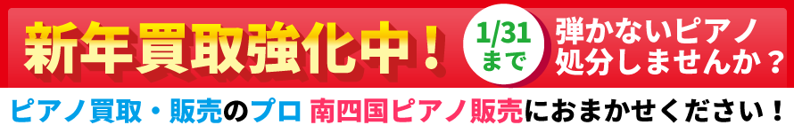 ���拭�����I�s�A�m����E�̔��̃v����l���s�A�m�̔��ɂ��܂������������B