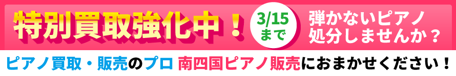 ���拭�����I�s�A�m����E�̔��̃v����l���s�A�m�̔��ɂ��܂������������B